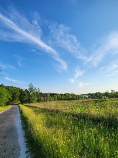 Funks Grove Nature Preserve - McLean, IL