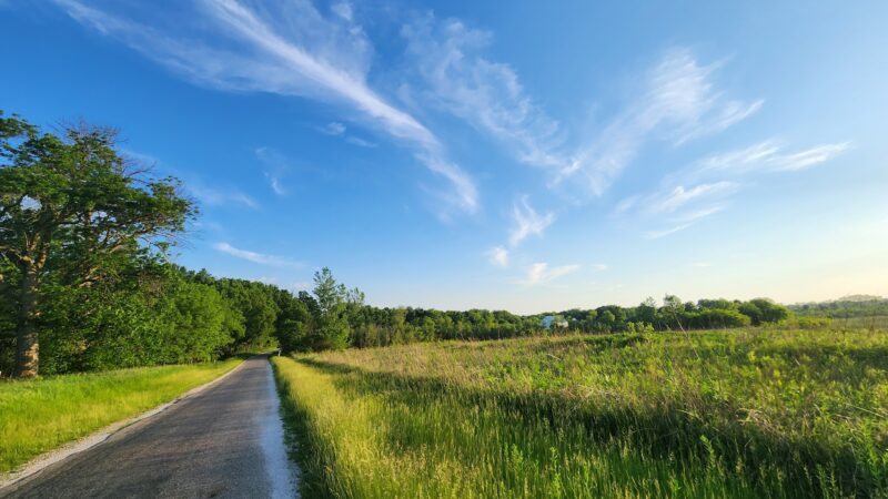 Funks Grove Nature Preserve - McLean, IL