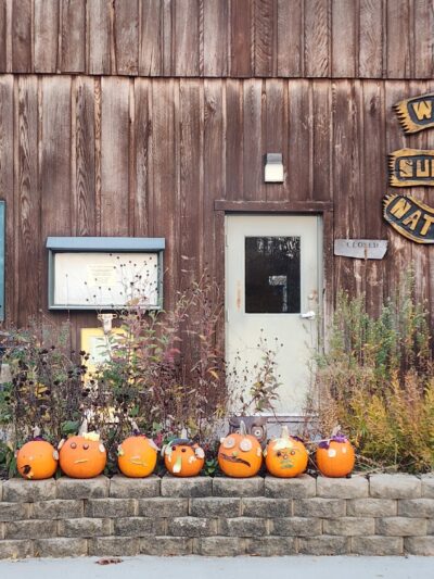 Funks Grove Nature Spaces - McLean, IL