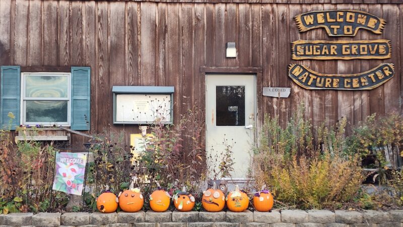 Funks Grove Nature Spaces - McLean, IL