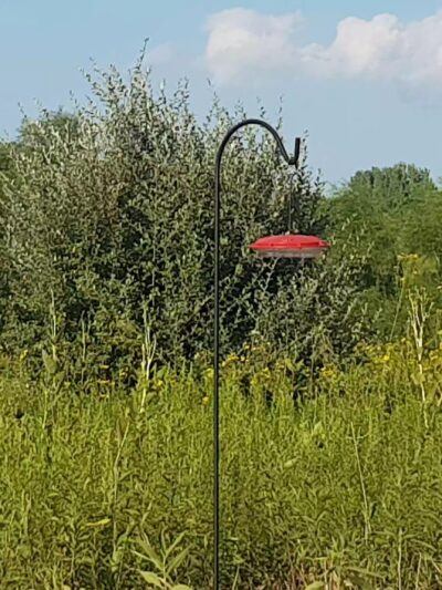 Funks Grove Nature Spaces - McLean, IL