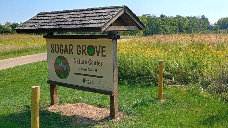 Funks Grove Nature Spaces - McLean, IL