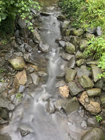 Bryn Mawr Park - McLean, VA