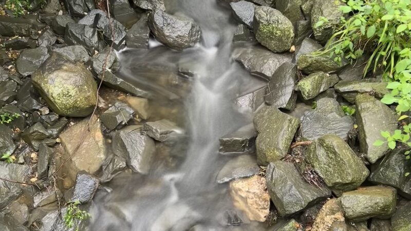 Bryn Mawr Park - McLean, VA