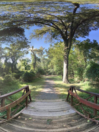 Bryn Mawr Park - McLean, VA