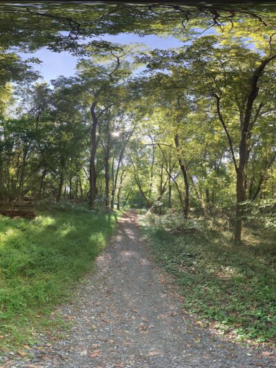 Bryn Mawr Park - McLean, VA