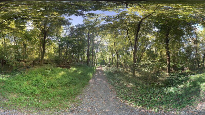 Bryn Mawr Park - McLean, VA