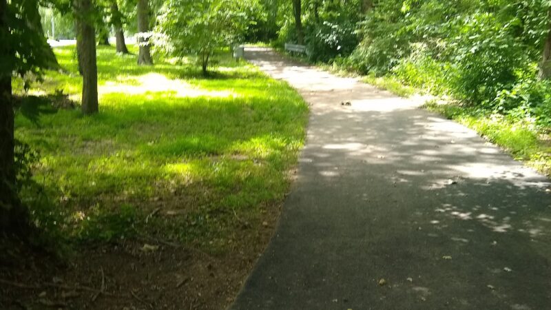 Bryn Mawr Park - McLean, VA