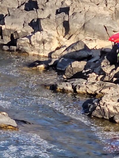 Great Falls River Mini Loop Trailhead - McLean, VA