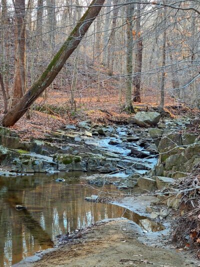 Langley Oaks Park - McLean, VA
