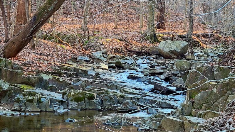 Langley Oaks Park - McLean, VA