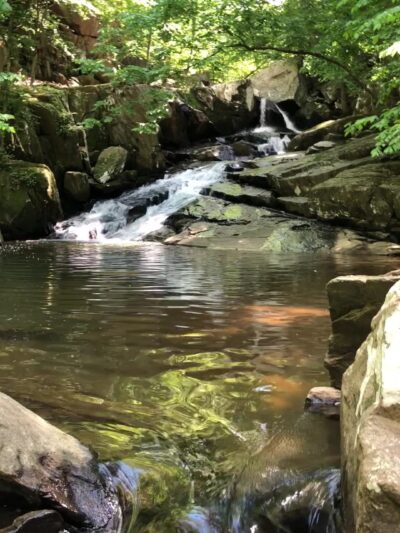 Langley Oaks Park - McLean, VA