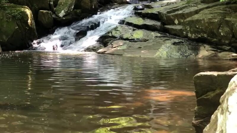 Langley Oaks Park - McLean, VA