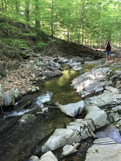 Langley Oaks Park - McLean, VA