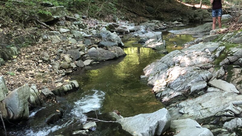 Langley Oaks Park - McLean, VA