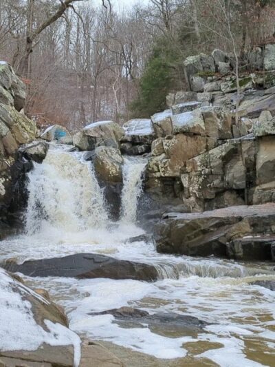 Scott’s Run Nature Preserve - McLean, VA