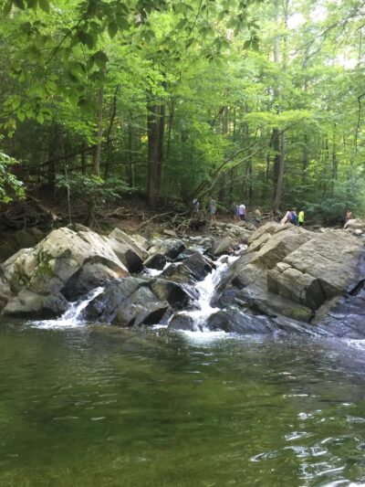Scott’s Run Nature Preserve - McLean, VA