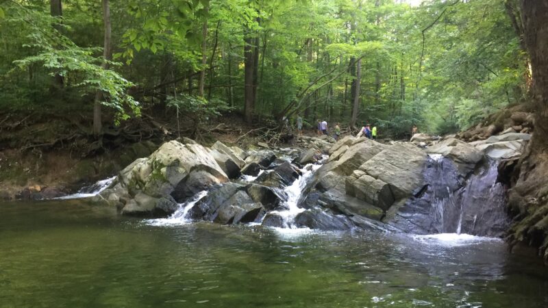 Scott’s Run Nature Preserve - McLean, VA
