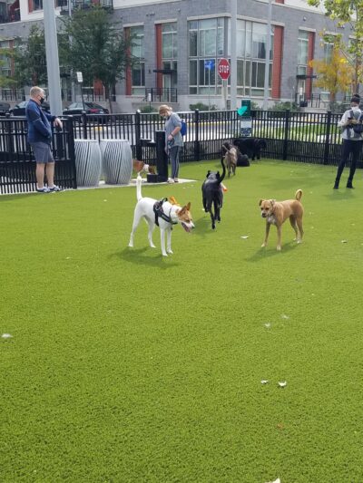 The Mile - McLean, VA