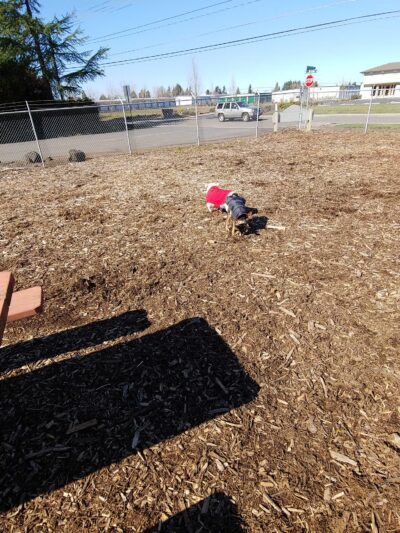 Riverside Dog Park - McMinnville, OR