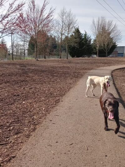 Riverside Dog Park - McMinnville, OR