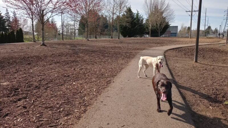Riverside Dog Park - McMinnville, OR