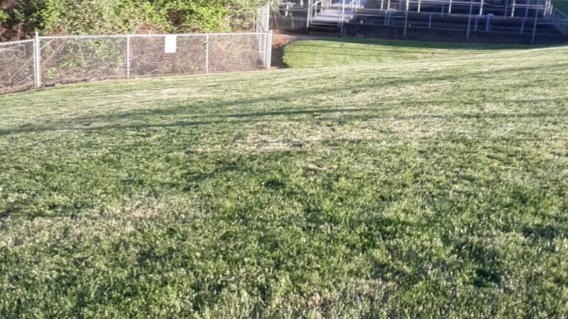 Riverside Dog Park - McMinnville, OR