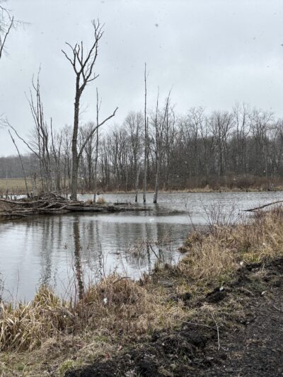Ernst Bike Trail Bailey Trailhead - Meadville, PA