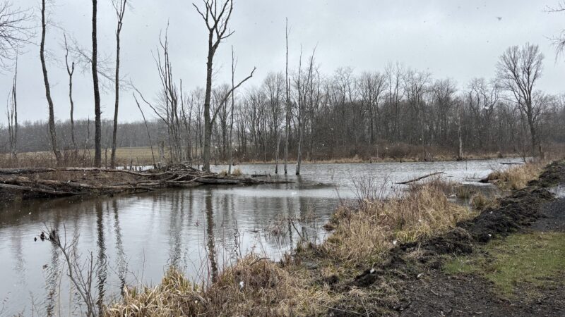 Ernst Bike Trail Bailey Trailhead - Meadville, PA