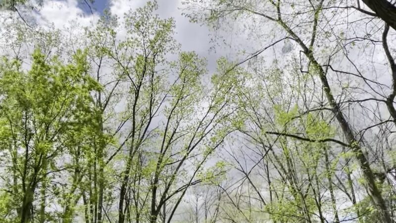 Zim Smith Trail Head - Mechanicville, NY