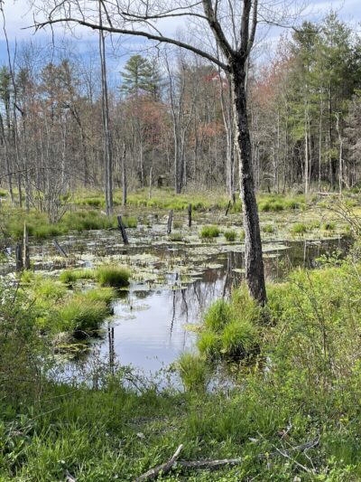 Zim Smith Trail Head - Mechanicville, NY