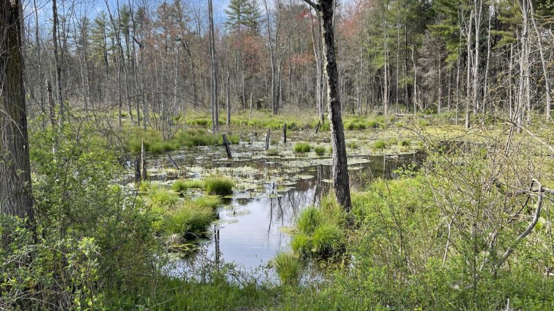 Zim Smith Trail Head - Mechanicville, NY