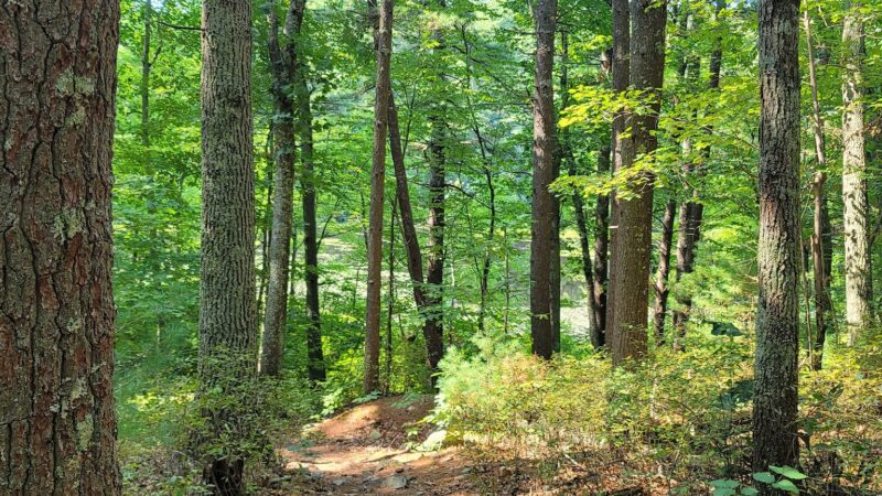 Noon Hill Reservation Trail Head - Medfield, MA