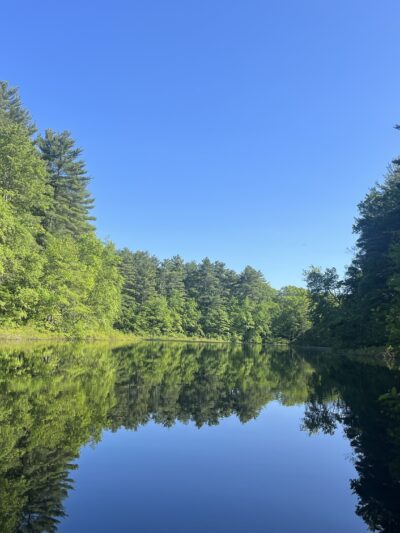 Noon Hill Reservation Trail Head - Medfield, MA