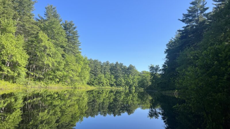 Noon Hill Reservation Trail Head - Medfield, MA