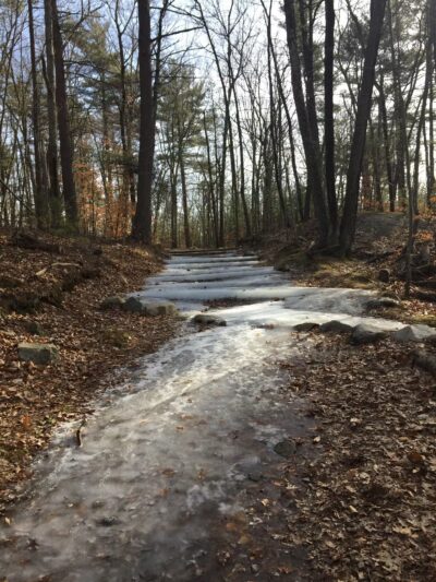 Noon Hill Reservation Trail Head - Medfield, MA