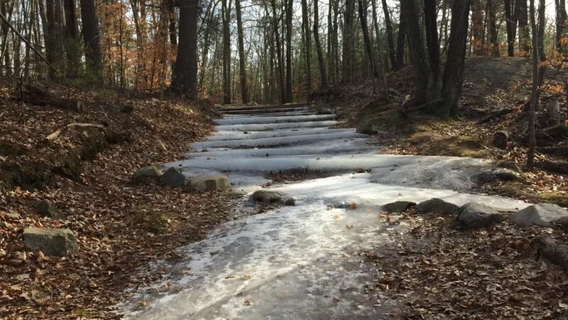 Noon Hill Reservation Trail Head - Medfield, MA