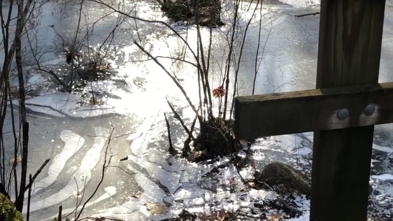 Noon Hill Reservation Trail Head - Medfield, MA