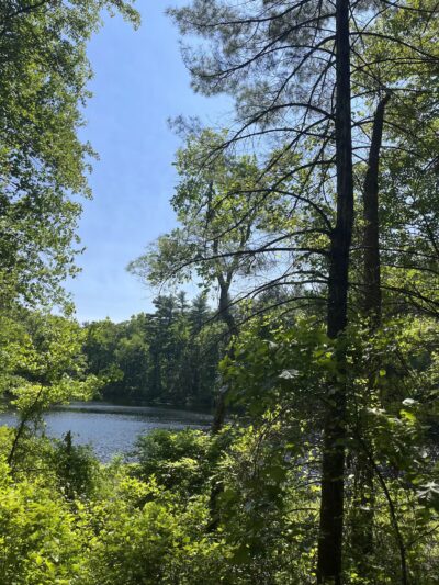 Noon Hill Reservation Trail Head - Medfield, MA