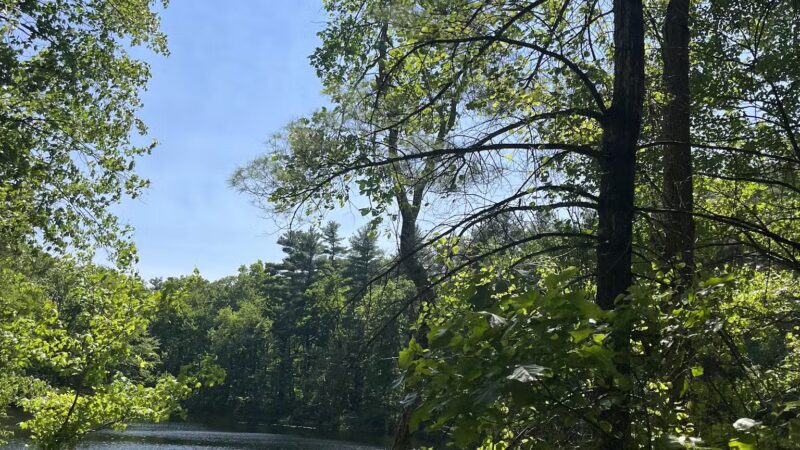 Noon Hill Reservation Trail Head - Medfield, MA