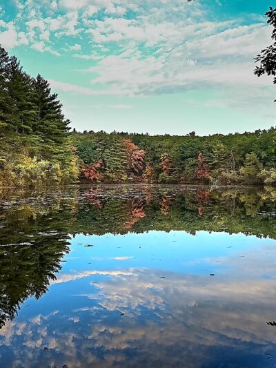 Rocky Woods - Medfield, MA