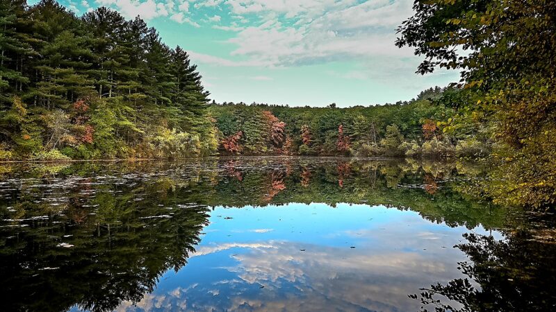 Rocky Woods - Medfield, MA