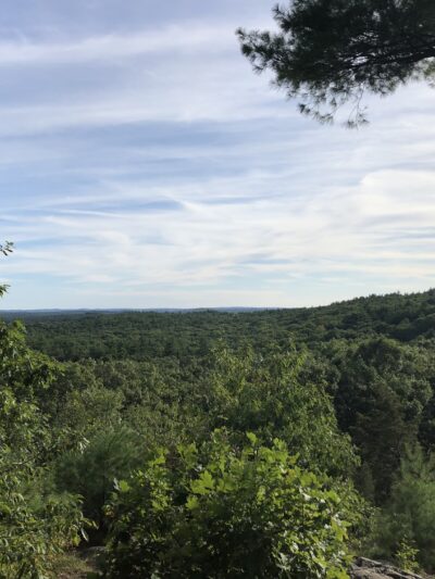 Rocky Woods - Medfield, MA