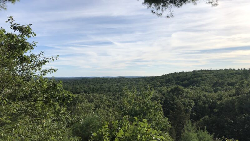 Rocky Woods - Medfield, MA