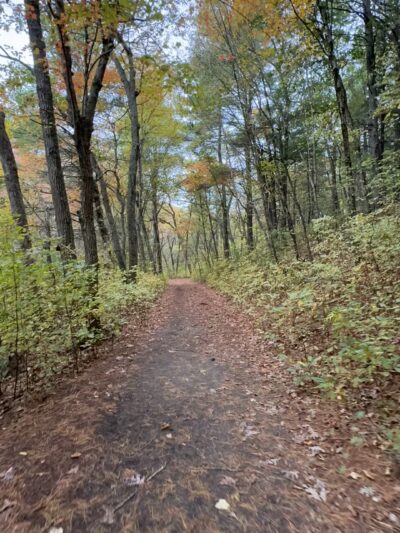Rocky Woods - Medfield, MA