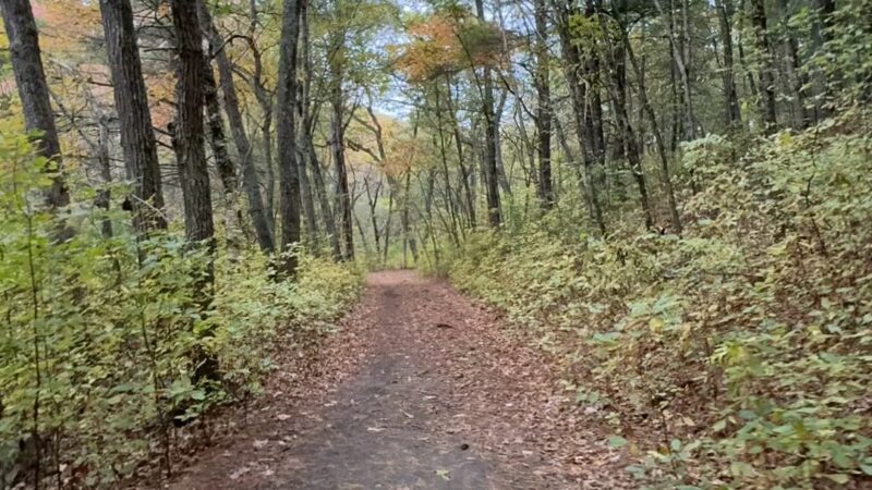 Rocky Woods - Medfield, MA