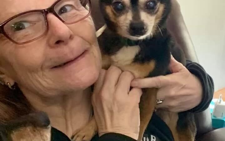 Roland Senior Dog Sanctuary - Melrose, FL
