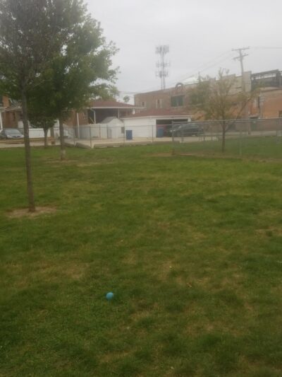 Melrose Park Dog Park - Melrose Park, IL