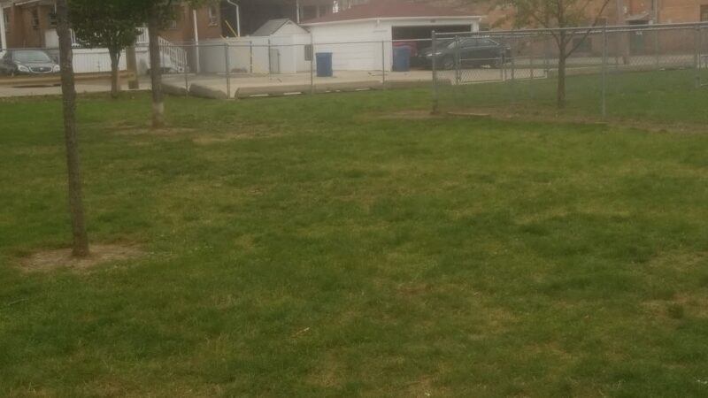 Melrose Park Dog Park - Melrose Park, IL