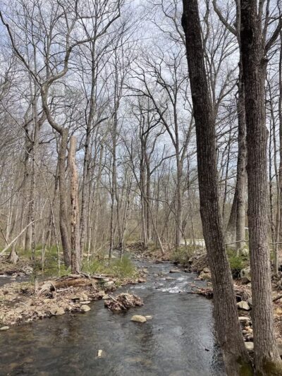 India Brook Park - Mendham, NJ